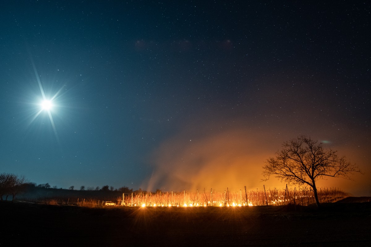 Heat sheath.

Full Moon lit the farmland in ice cold night, while smoke and temperature created capsule above the field which protect the apricot trees from the frost. Hungary, Závod, April 2, 2020.

Ground frosts at dawn are common even in March, but in the last years due to climate changes they appear even in early April, when the fruit trees are blooming. To protect future harvest farmers on the large apricot farmlands use an old and rarely seen technique of torching to heat the open air when ground frosts endangers the fruit.