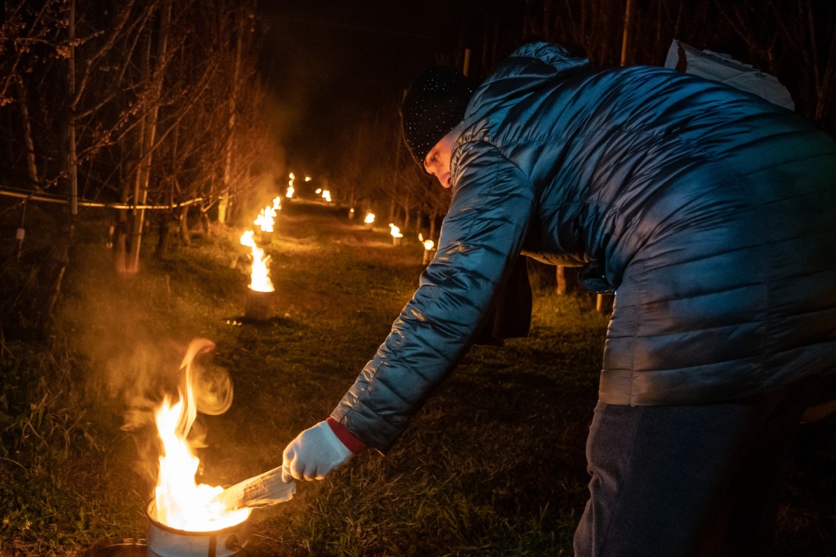 Light a fire.

Mom lights the fire from candle to candle. Hungary, Závod, April 2, 2020.
When the frost arrives, the whole farmer family together with friends, are out on the plot to light the fire as quickly as possible in the thousands candles filled with liquid paraffin.
