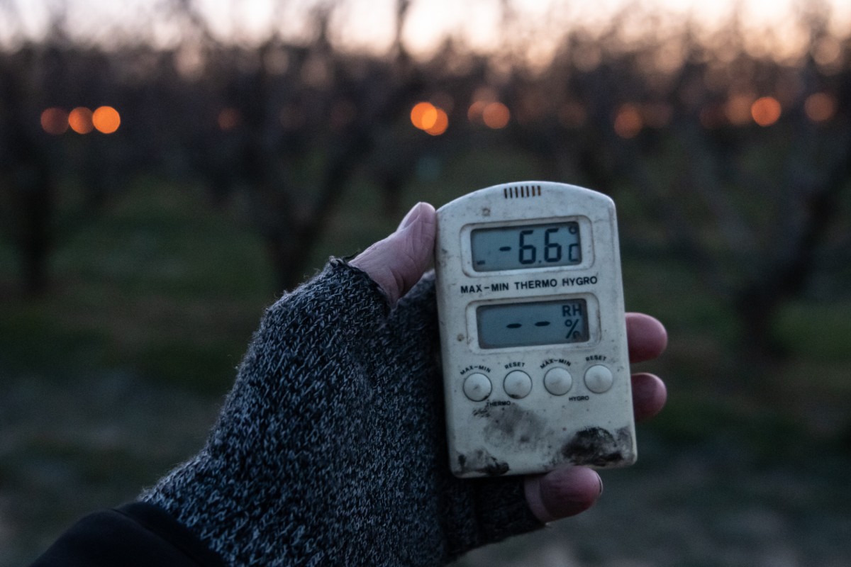 Measure the climate change.

Instead of expected -5, lowest temperature was -6,6 this morning. This was a record breaking temperature in Hungary on the April 2nd. But sensitive trees was protected by all night candling. Hungary, Závod, April 2, 2020.
