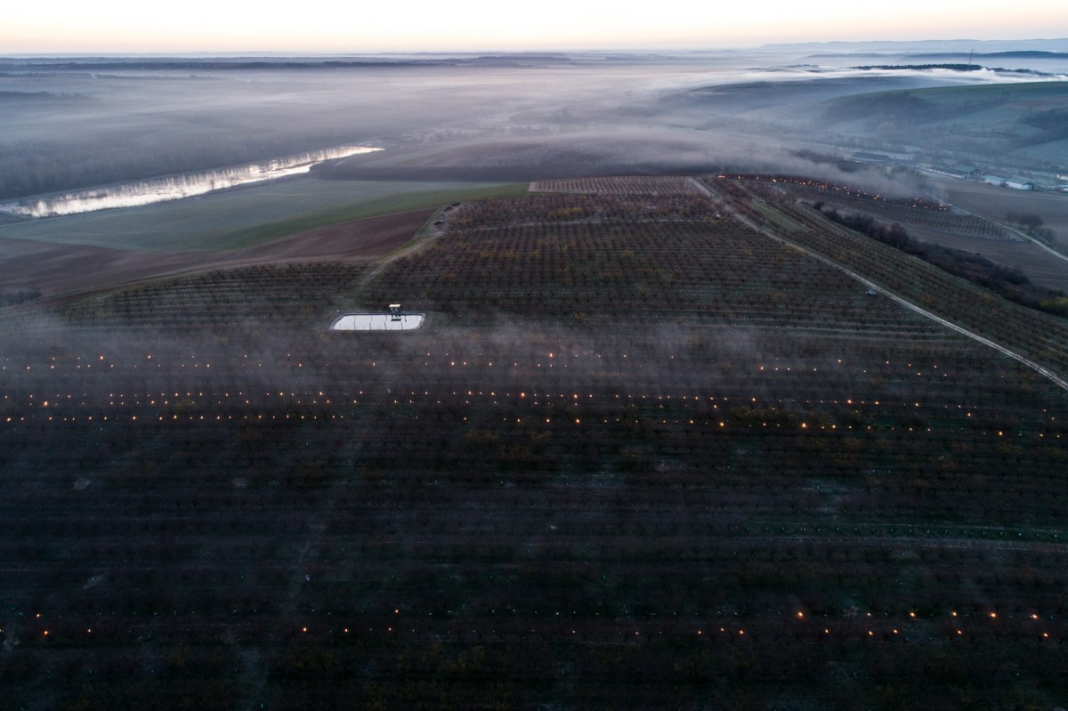 Apricot valley.

Valley covered with smoke captured right before the sunrise, which protected huge apricot farmlands from the frost during the record breaking cold night. Hungary, Závod, April 2, 2020.